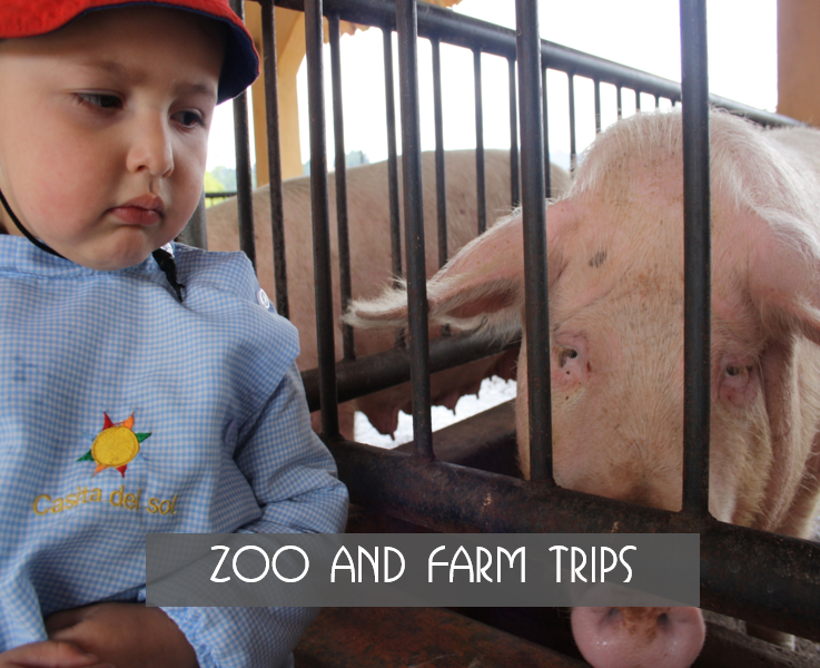 Zoo and Farm Trips